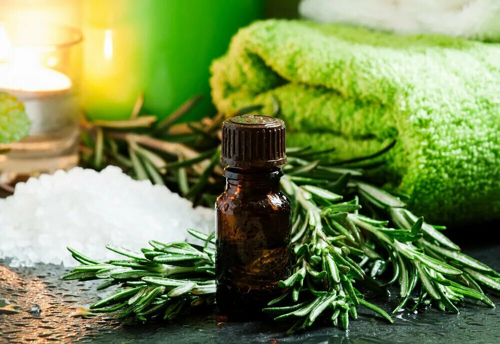 Как использовать масло розмарина. Как использовать масло розмарина. Как использовать масло розмарина. Как использовать масло розмарина. Эфирное масло розмарин лекарственный.