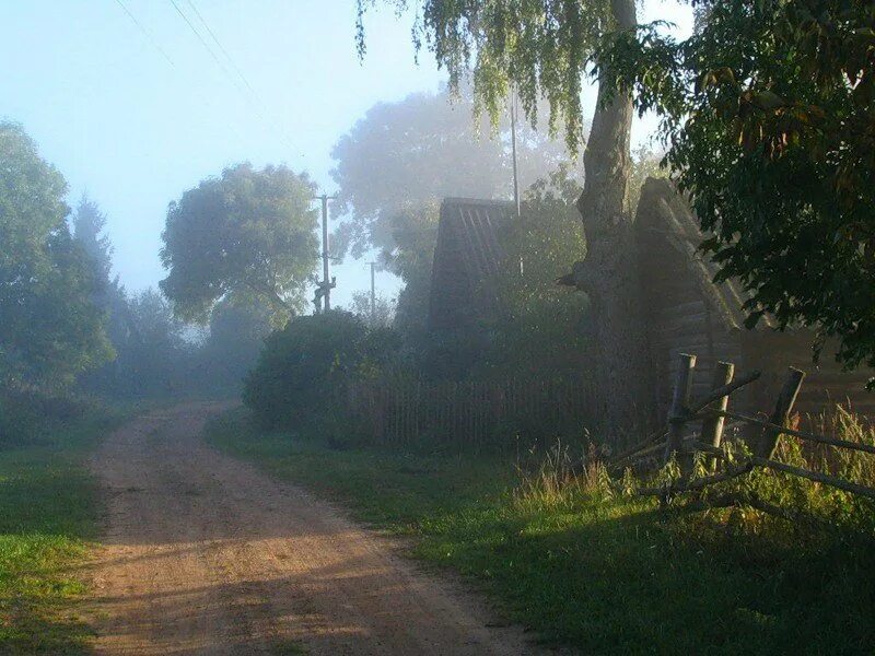Деревня клево. Деревня утром. доброе утро в деревне. утро в деревне летом. утро в деревне картинки.