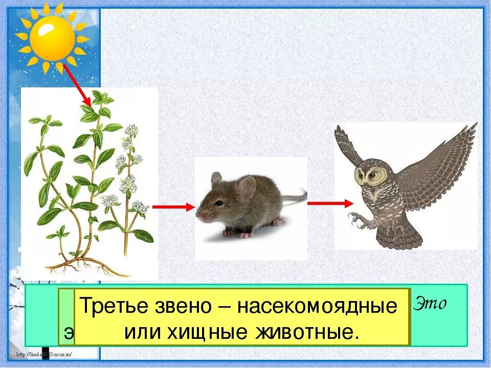 Невидимые нити схема. Невидимые связи в природе. Невидимые нити в природе примеры. Неви димые нитии в приррде.