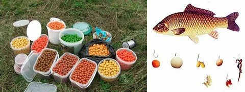 Приманка на карася осенью