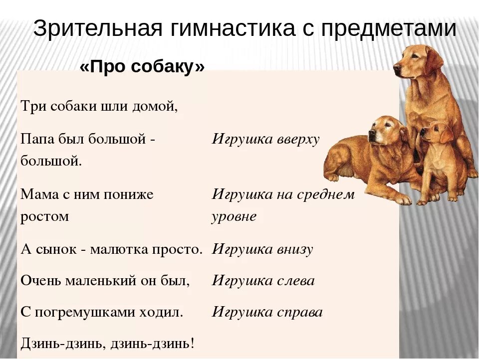 Сценка собаки. Физминутка про собаку. Физминутка щенок. Физминутка с собачками для детей. Физминутки про собаку для дошкольников.