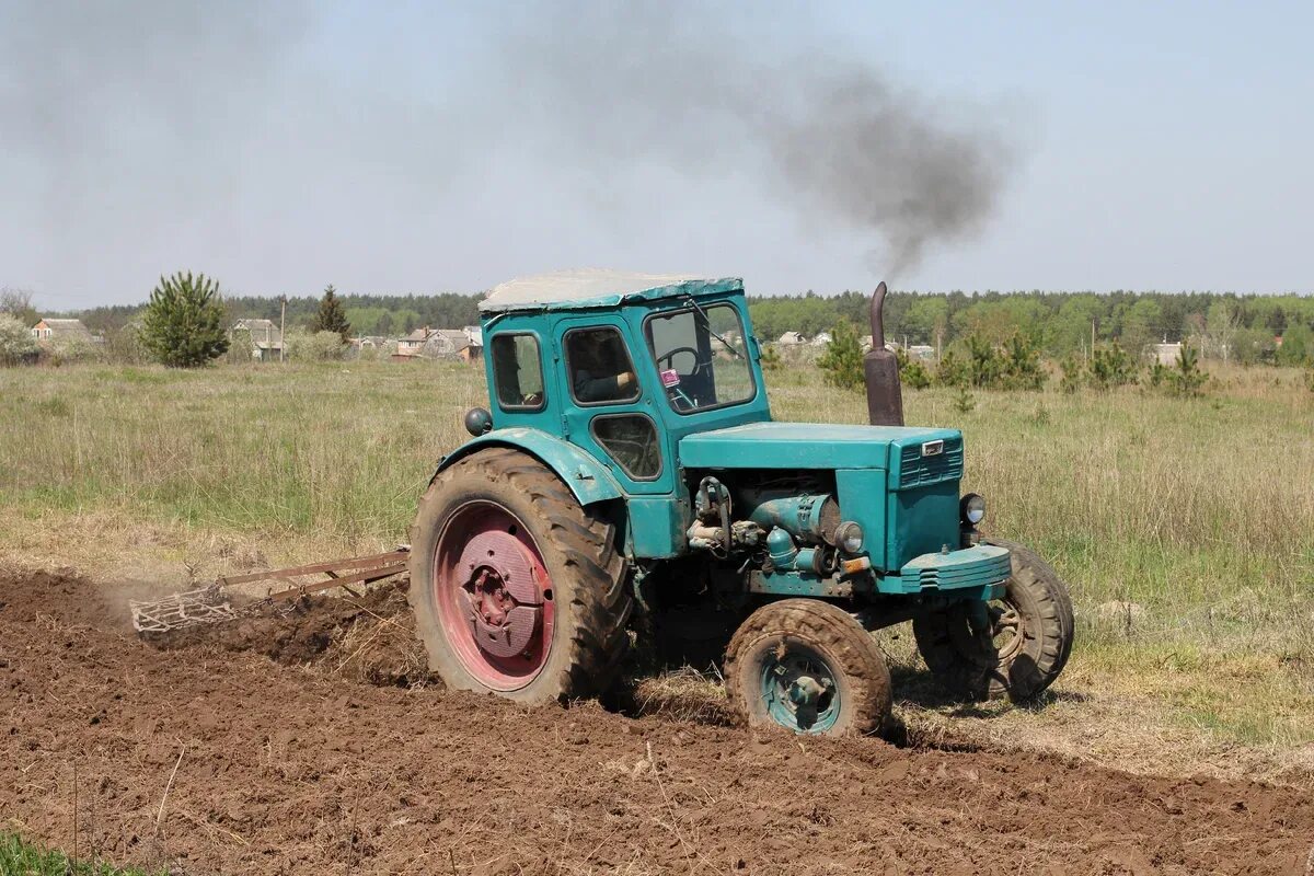 Т-40 (трактор). Трактор т 40 и МТЗ 80. Трактор МТЗ 80 пашет на поле. Трактор т 40 в деревне. Тракторная тема