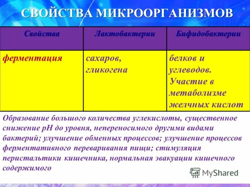 Биологические свойства бактерий