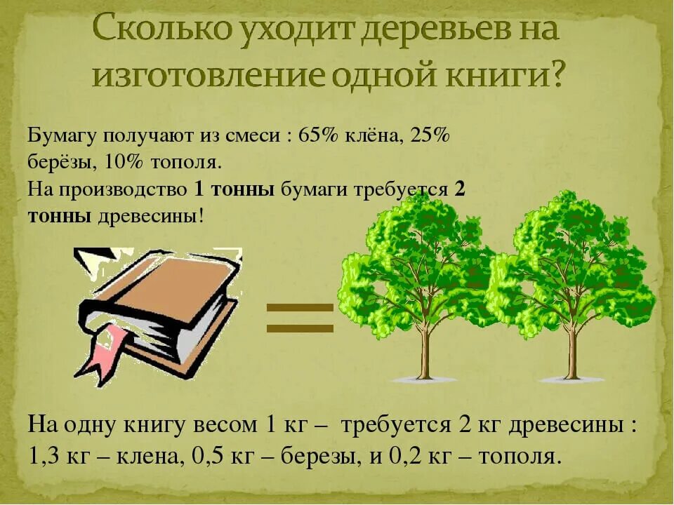 Сколько лист взять. Сколько деревьев надо для одной книги. Сколько уходит деревьев на изготовление одной книги. Сколько деревьев уходит на лист бумаги. Сколько деревьев на одну книгу.