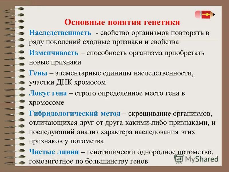 Основные генетические термины. Генетика основные понятия. Генетика понятия и термины. Понятия в генетике. Чистыми линиями называют организмы