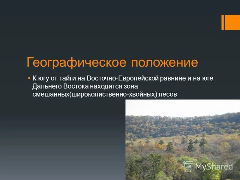 таблица природные зоны россии лесостепи. смешанные леса географическое положение таблица. гп смешанных лесов и широколиственных лесов в россии. зона лиственных и широколиственных лесов. характеристика природных зон.