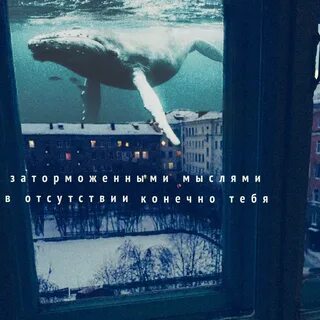 Думал о твоем теле