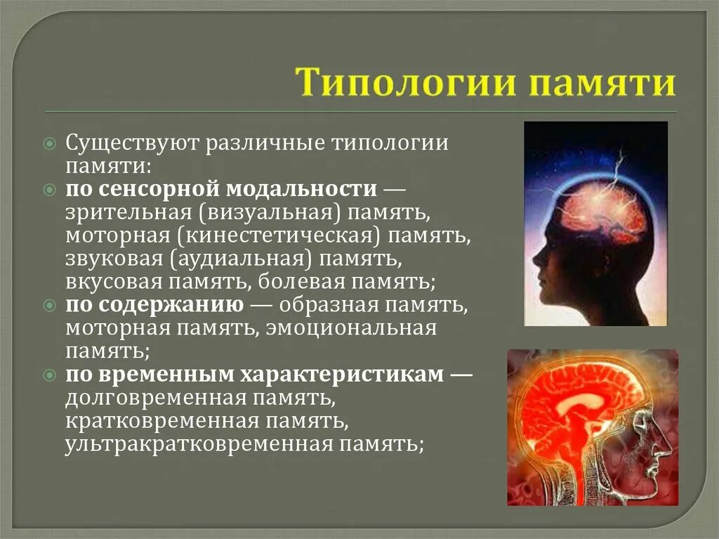 Типология памяти. Презентация на тему память. Память по сенсорной модальности. Виды памяти по сенсорной модальности.