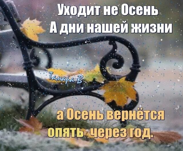 Все приходит и уходит снег сменяется. С последним днем осени. С последним днём осениии. С поледнний днем осени. С добрым последним днем осени.