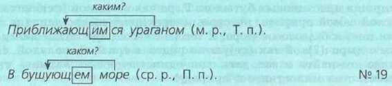 Гласные в окончаниях причастий и прилагательных. Правописание гласных в падежных окончаниях причастий. гласные в падежных окончаниях причастий определяются. склонение причастий и правописание падежных окончаний. причастие склонение причастий 7 класс.