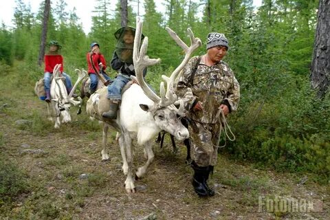 Эвенки забайкальского края