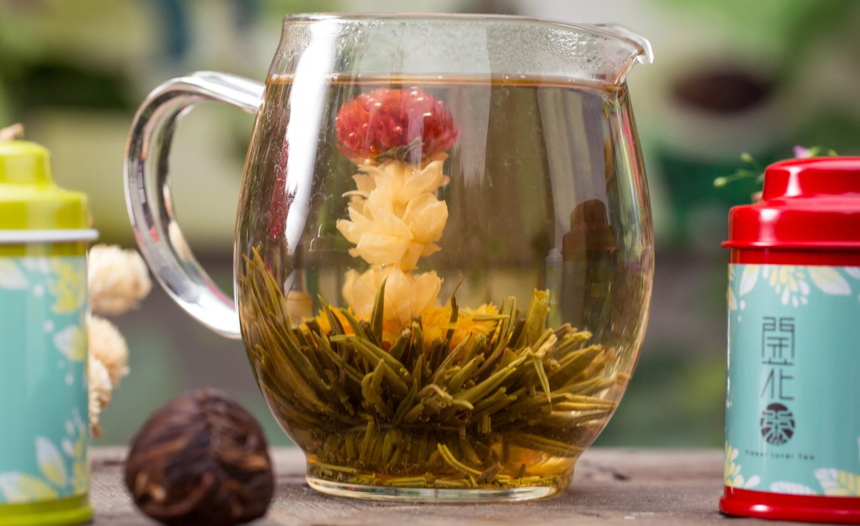 Растения для заварки. Чай китайский цветок раскрывается. Зеленый чай цветок распускается. Чай цветок распускается. Китайский чай цветок распускается.