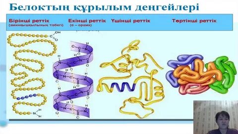 Порно видео түсірді