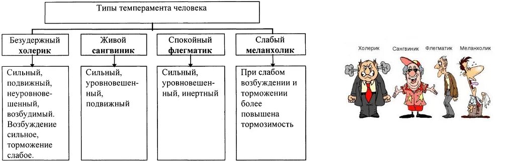 Типы друзей в жизни. 4 Типа темперамента человека. Типы темперамента человека схема. Четырёх основных типов темперамента. Четыре типа темперамента человека и их характеристика.