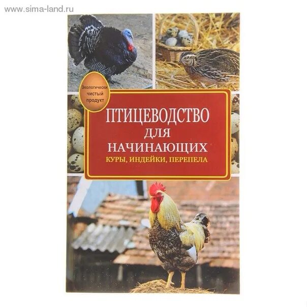 Птицеводство для начинающих
