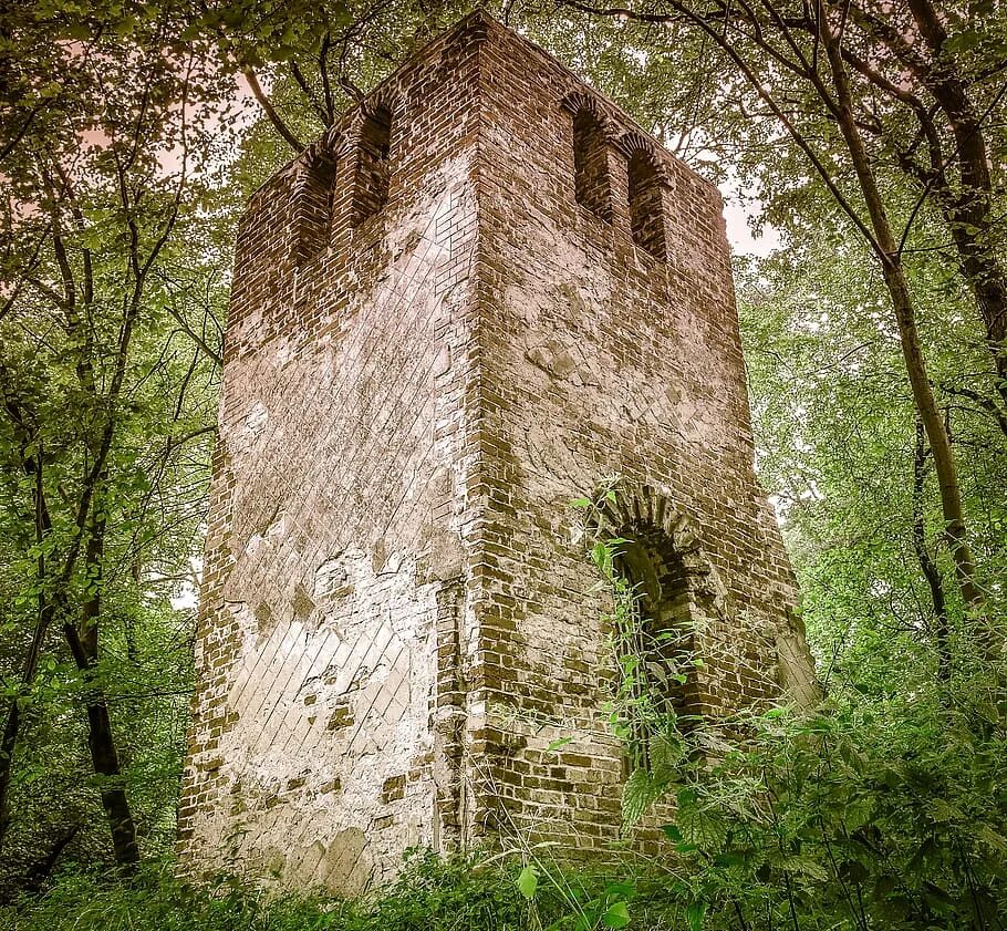 Каменная башня. Башня в лесу. Замок заросший плющом. Заброшенная башня в лесу. В заросшей плющом каменной