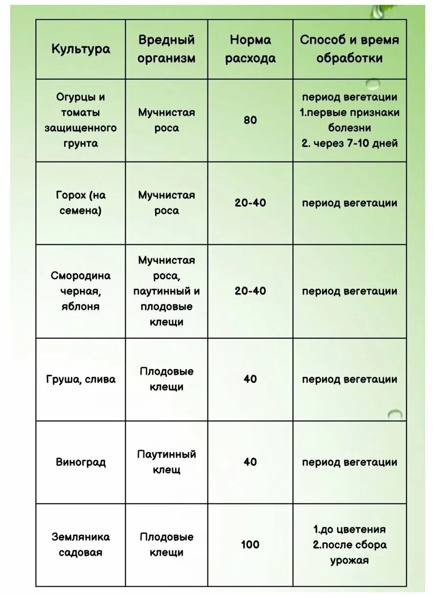 Пфклерос купить на озоне