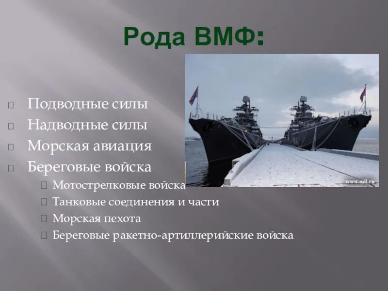 Назначение вмф россии. Рода войск ВМФ РФ. Береговые войска ВМФ России рода войск Российской Федерации. ВМФ структура войск. Роды войск ВМФ.