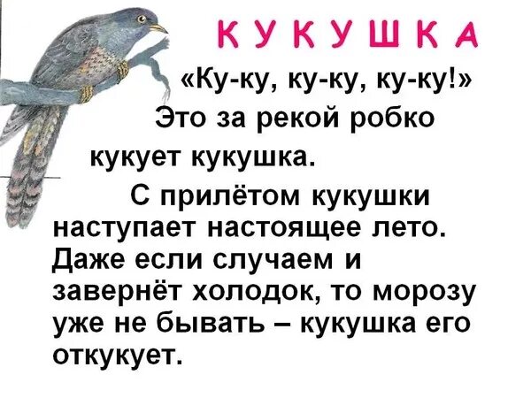 Ты кукуй кукушка все равно