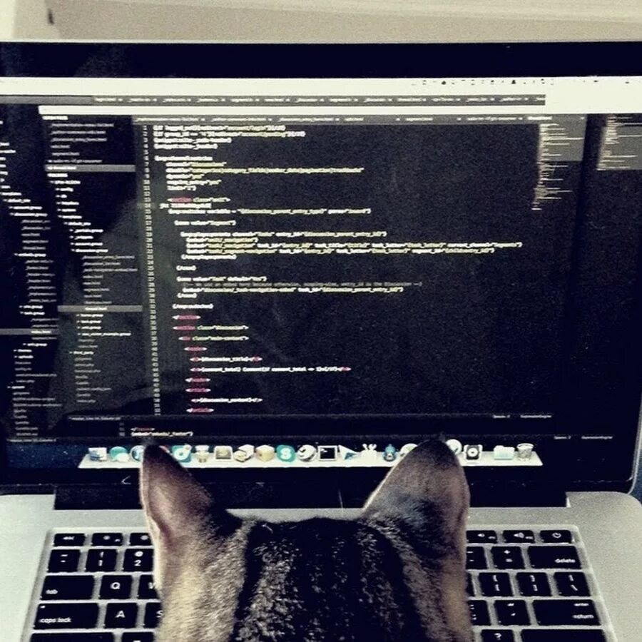 Cat programming