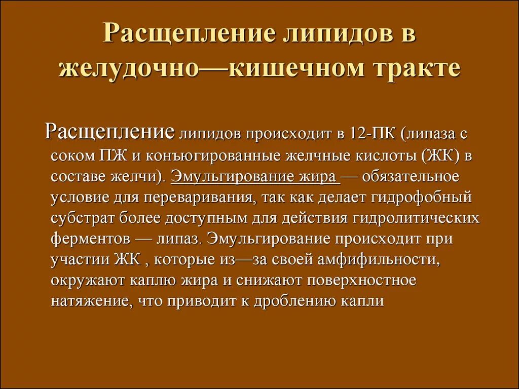 Ферменты расщепления липидов. Расщепление липидов в ЖКТ. Расщепление и всасывание липидов в желудочно-кишечном тракте. На что расщепляются липиды. Расщепление липидов в пищеварительном тракте.