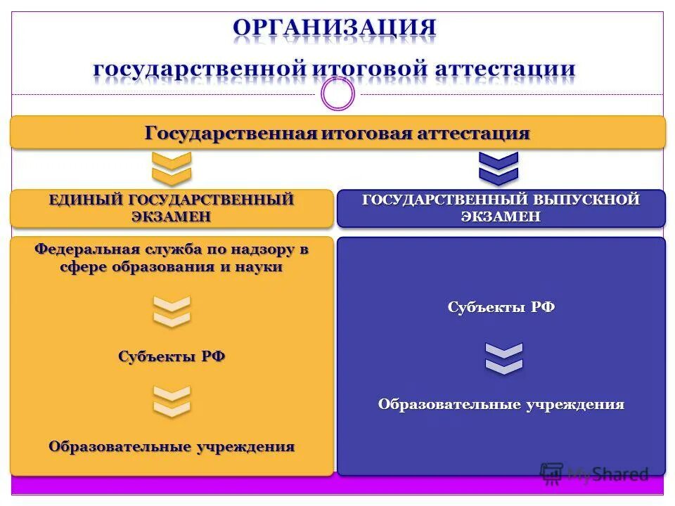 Государственные образовательные организации субъектов рф