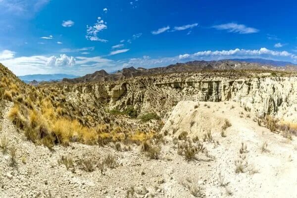 пустыня алёшковские пески. алешковские пески. олешковские пески в херсонской. европа пустынна. пустыня табернас на карте.