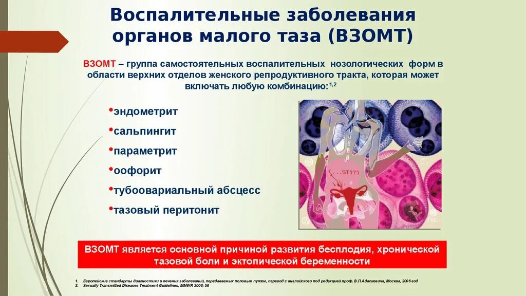 Микроорганизмы женских половых органов. Воспалительные заболевания женских половых органов. Воспалительные заболевания женских органов гинекология. Воспалительные заболевания органов малого таза. Воспалительные заболевания ОМТ.