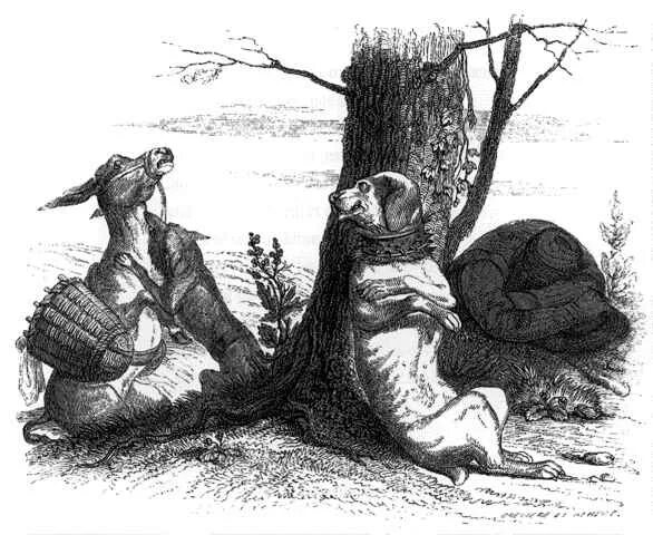 Басня крылова собака. Собака и кошка басня. Собака и кошка басня. Басня крылова собака. Басня крылова собака.