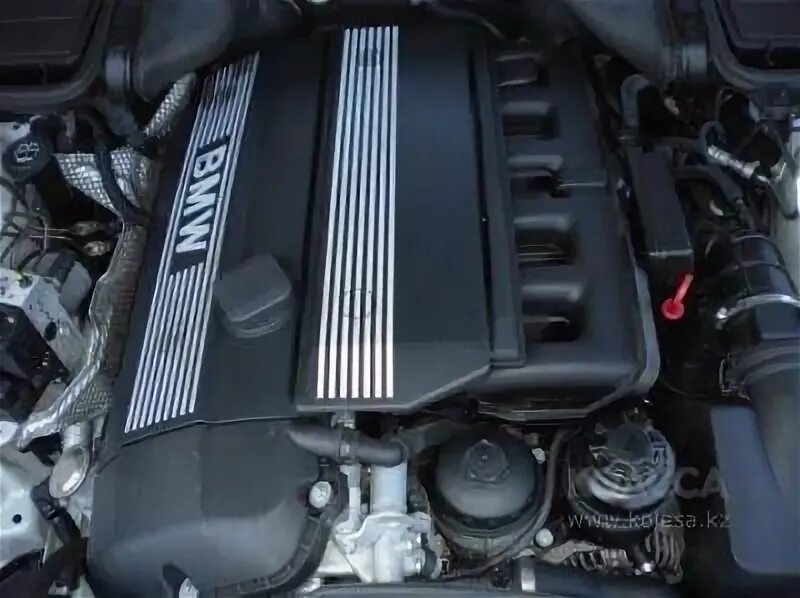 Е46 м54б30. M54b30 на дросселях. М 54 мотор бмв 2. 5i m54. Мотор на bmw m3 e46.