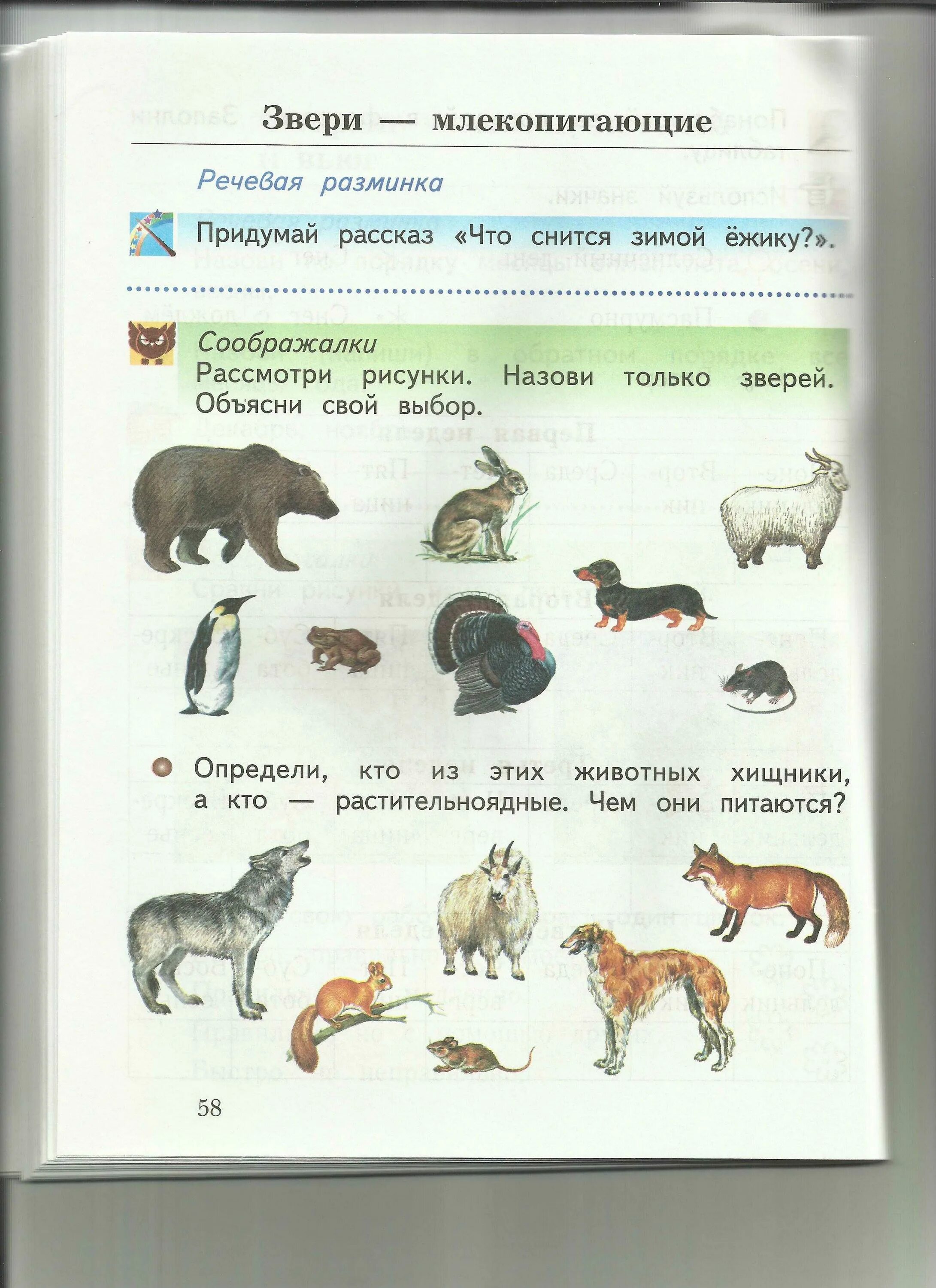 Тест по теме млекопитающие 8 класс. Млекопитающие задания. Млекопитающие звери. Звери млекопитающие 1 класс. Звери млекопитающие задания.
