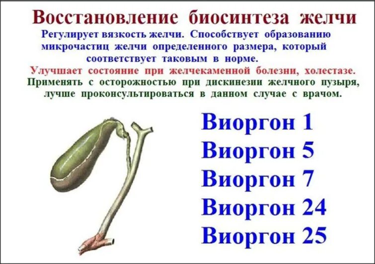 Желчь обеззараживает. Что способствует образованию желчи. Тягучесть желчи. Желчь регулирует желчеобразование, если:. Ролики от вязкости желчи.