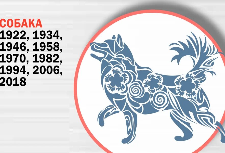 Гороскоп рожденных в год собаки. Восточный гороскоп собака. Знак собаки китайский гороскоп. Восточный календарь год собаки. Знаки восточного гороскопа по годам.
