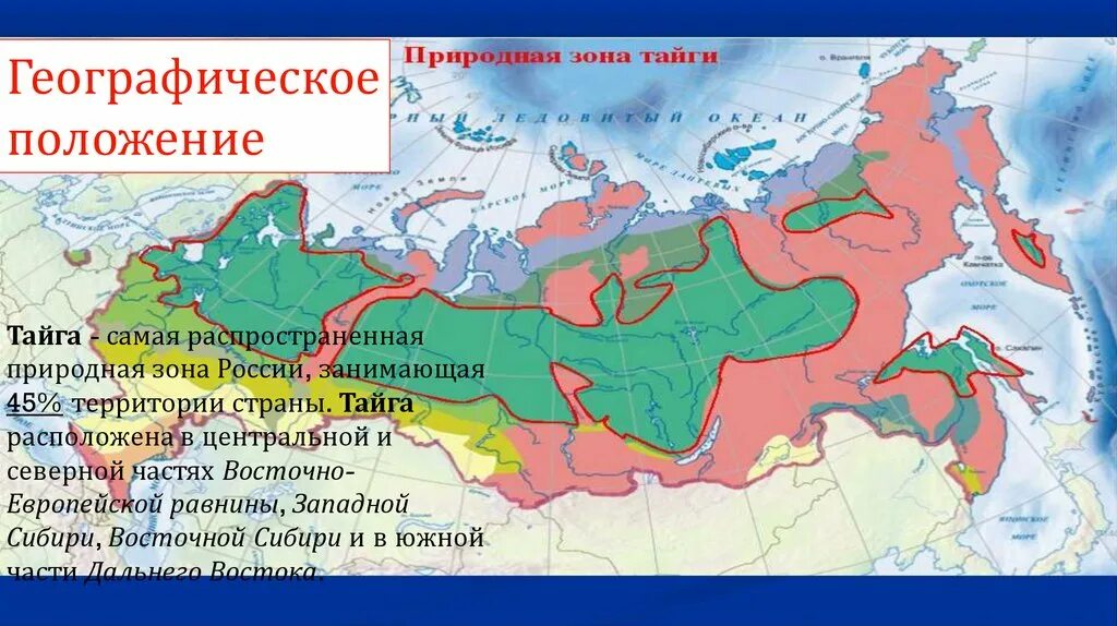 Природная зона россии самая маленькая по занимаемой. Географическое положение природной зоны тайги в России. Лесные зоны Тайга географическое положение. Географическое положение тайги в России на карте. Распространение тайги в России.