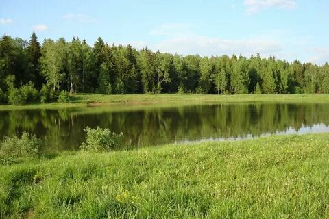 Возле д