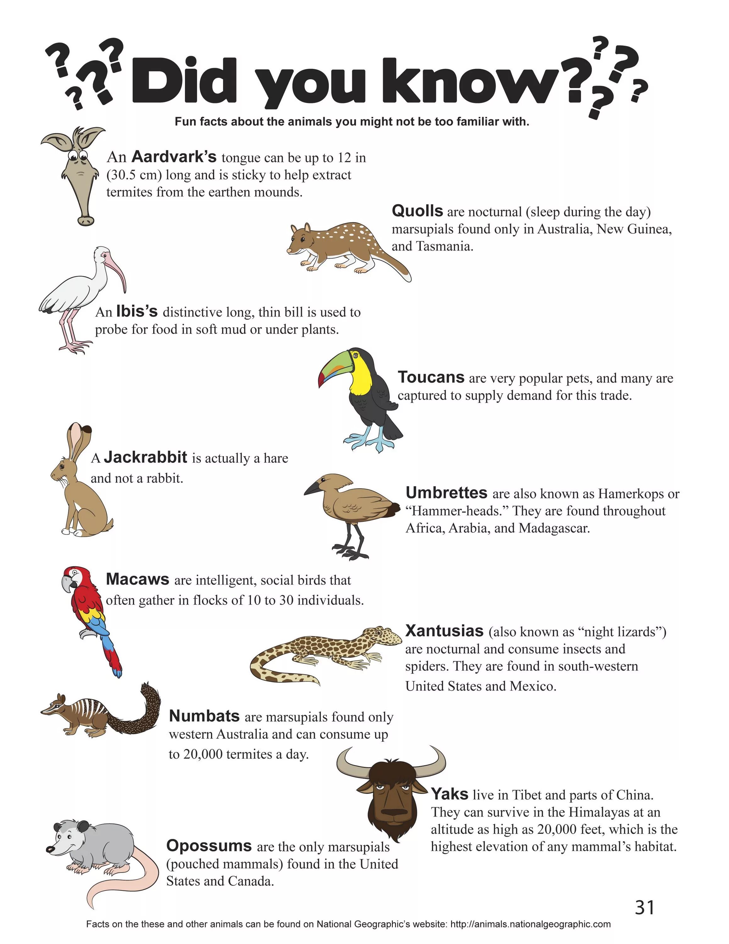 Facts about animals. Facts about animals for Kids. Interesting facts about animals for Kids. Interesting facts about an animal Worksheet.