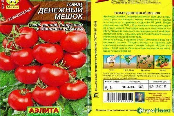 Томат денежный мешок характеристика. Томат денежный мешок сибирская селекция. Томат черри денежный мешок. Томат черри денежный мешок. Томат денежный мешок отзывы фото урожайность характеристика.