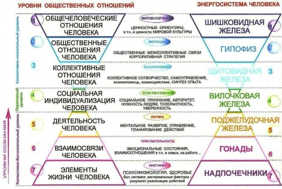 1 уровень отношение. Уровни развития личности. Уровни сознания личности. Уровни развития сознания. Уровни развития сознания личности.