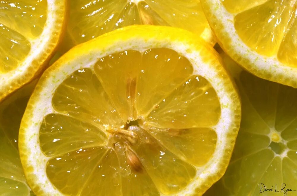 Лимон срез. Лимон в разрезе. Сочный лимон в разрезе. Срез срез лимона.