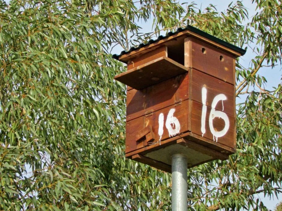 Скворечник в какую сторону света. Надпись на скворечнике. Челябинский скворечник. Суровый Челябинский скворечник. Скворечники с номерами.