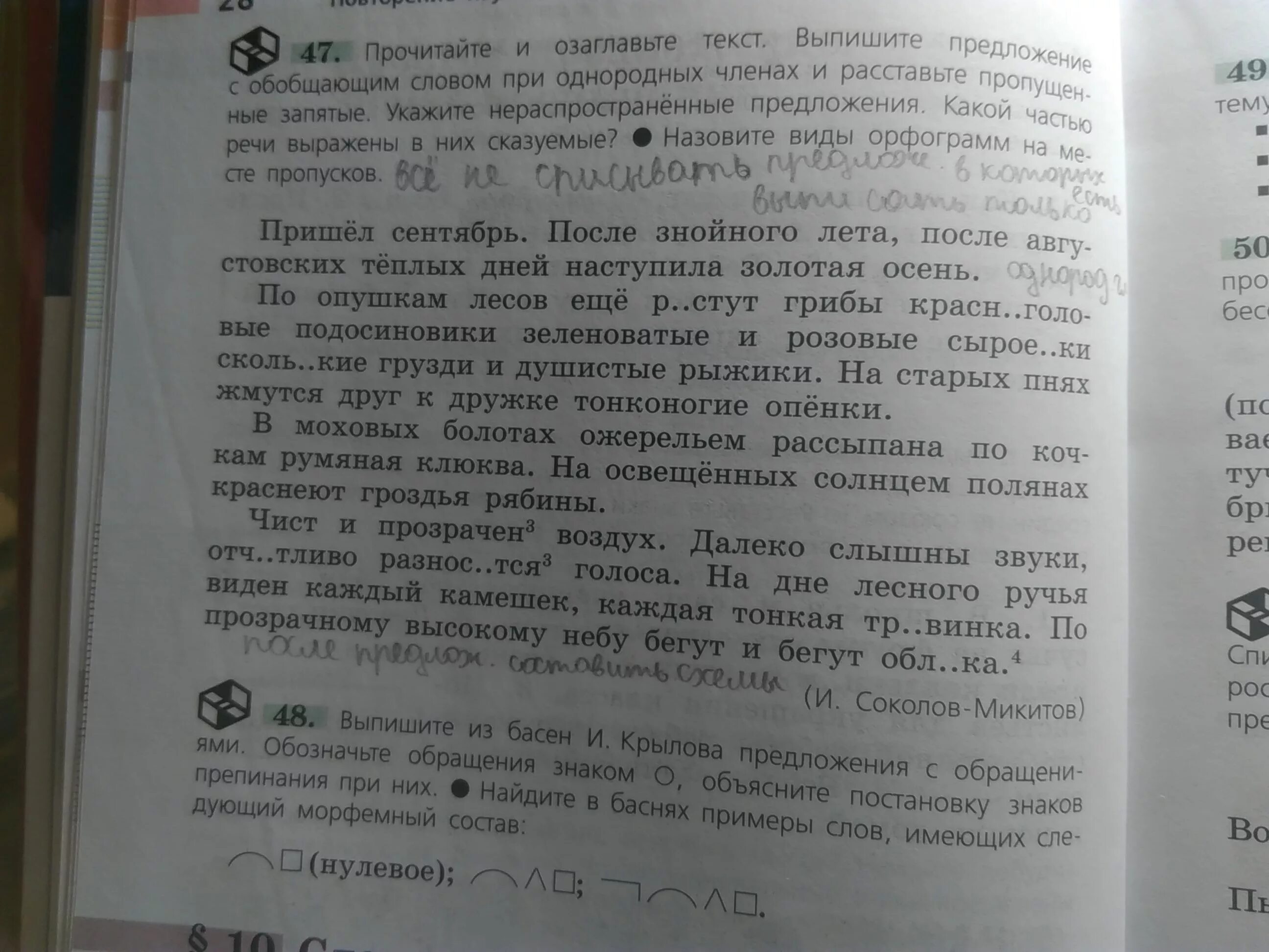 Прочитайте текст выпишите незнакомые слова. Прочитай текст выпиши предложения с однородными. Прочитай текст выпиши предложения с однородными членами. Прочитай выпиши предложения с однородными. Выпишите предложения с однородными членами и обобщающим словом.