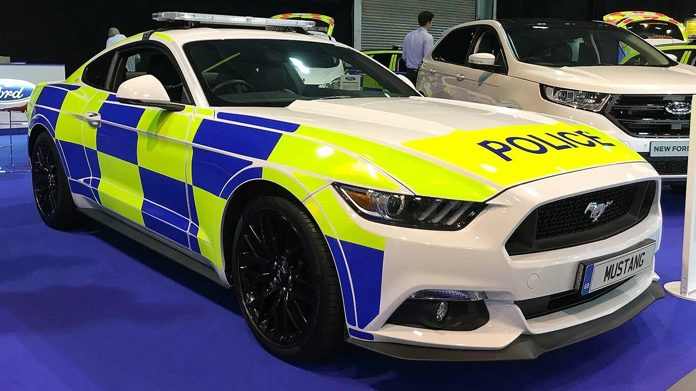 Полицейский мустанг. Ford Mustang 2016 Police. Полицейский Форд Мустанг gt. Гоночный Форд Мустанг. Форд Мустанг 2021 полицейский.