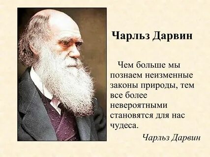 Простое высказывание по биологии