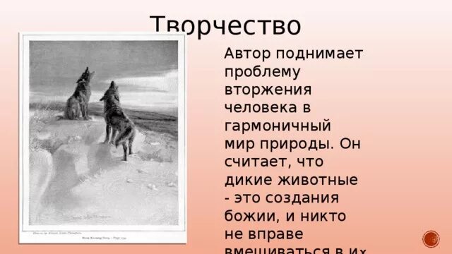 Проблема которую поднимает автор в