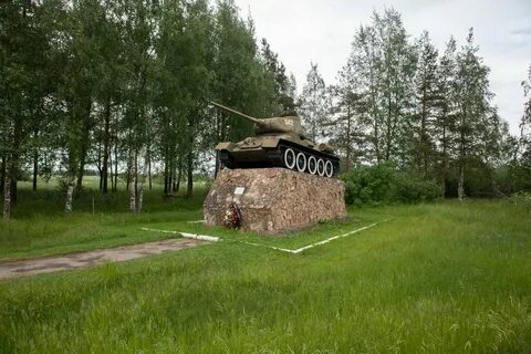 Старая русса дубовицы