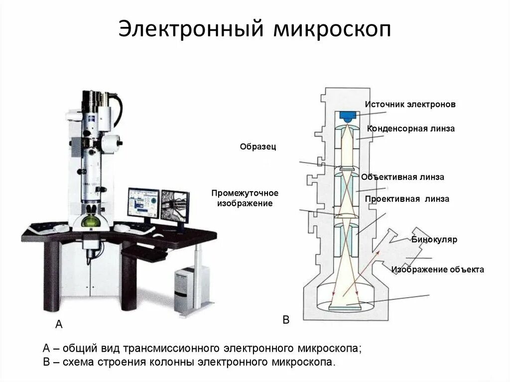 Электронный микроскоп впр 5 класс биология. Схема электронного микроскопа 5 класс биология. Схема строения электронного микроскопа. Строение цифрового электронного микроскопа. Цифровой электронный микроскоп микроскоп строение.