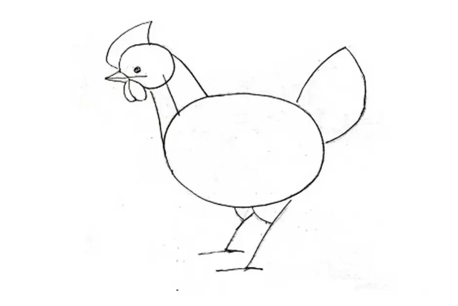 Поэтапное рисование курицы для детей. Пошаговое рисование курицы. Поэтапное рисование курочки. Курочка для рисования для детей.