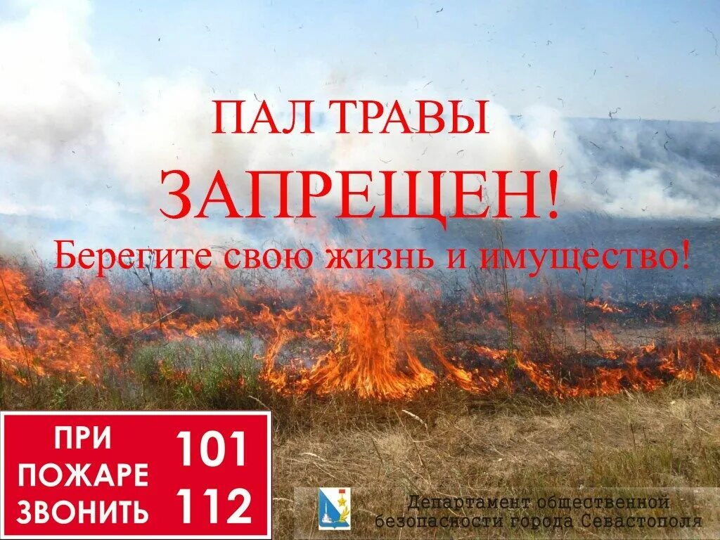 Акции пал пал. Пал травы. Пал травы запрещен. Пал травы весной запрещен. Противопожарная безопасность пал травы.