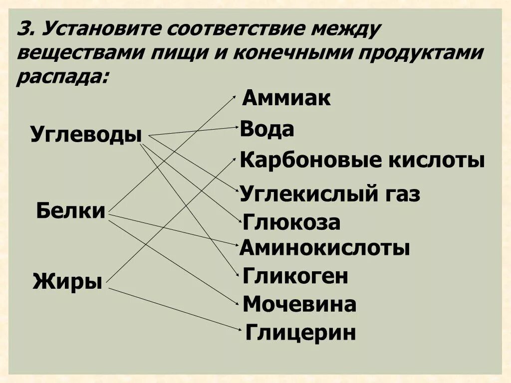 Соответствие между питательными веществами и продуктами их. Установите соответствие между продуктами и питательными веществами. Установите соответствие между продуктами. Конечные продукты распада белка.