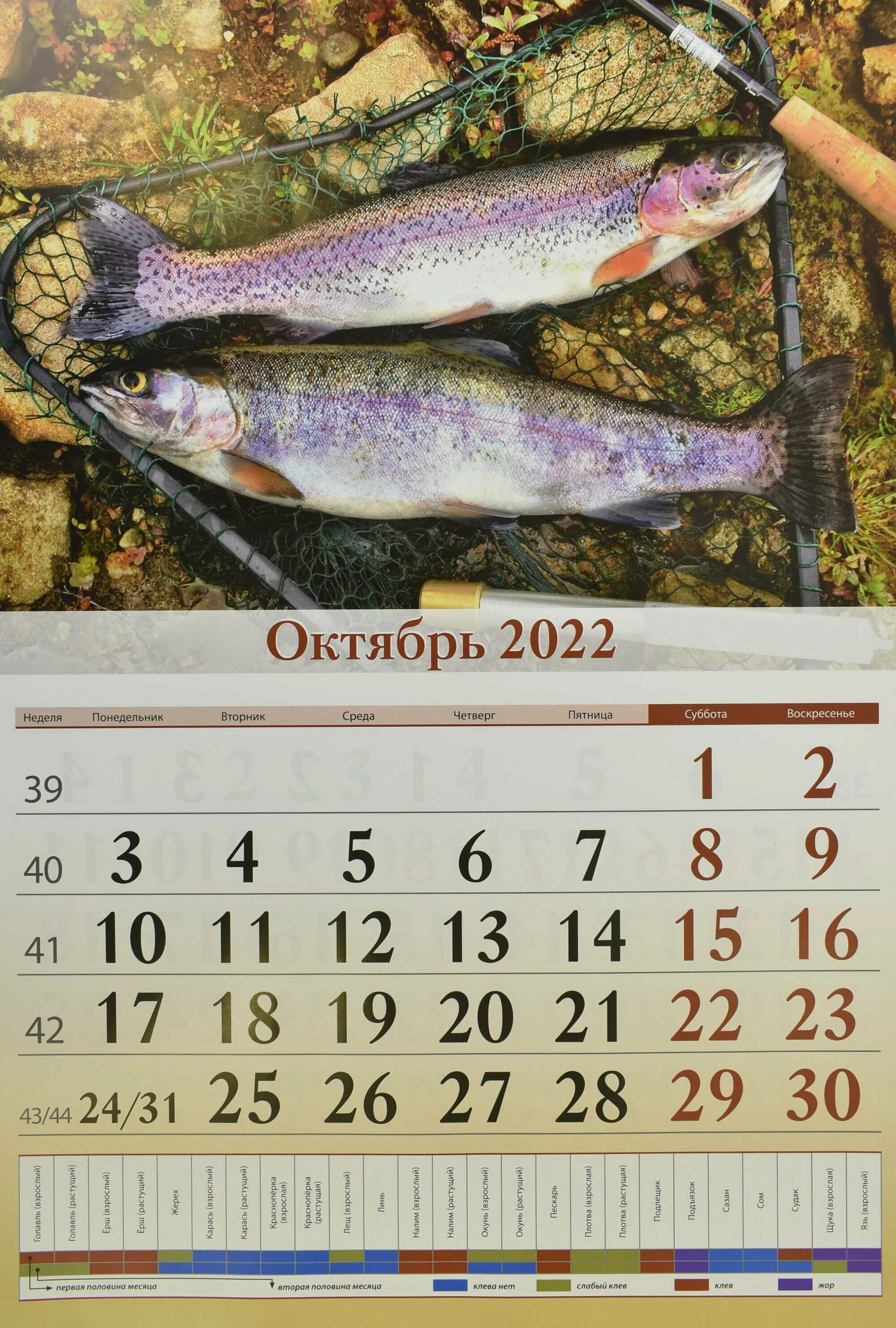 Календарь рыбака краснодарский край. Рыболовный календарь. Рыболовный настенный календарь. Рыболовный календарь на 2022 год. Рыбный календарь на 2022.